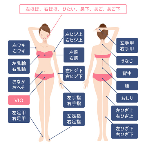 スライダー画像3